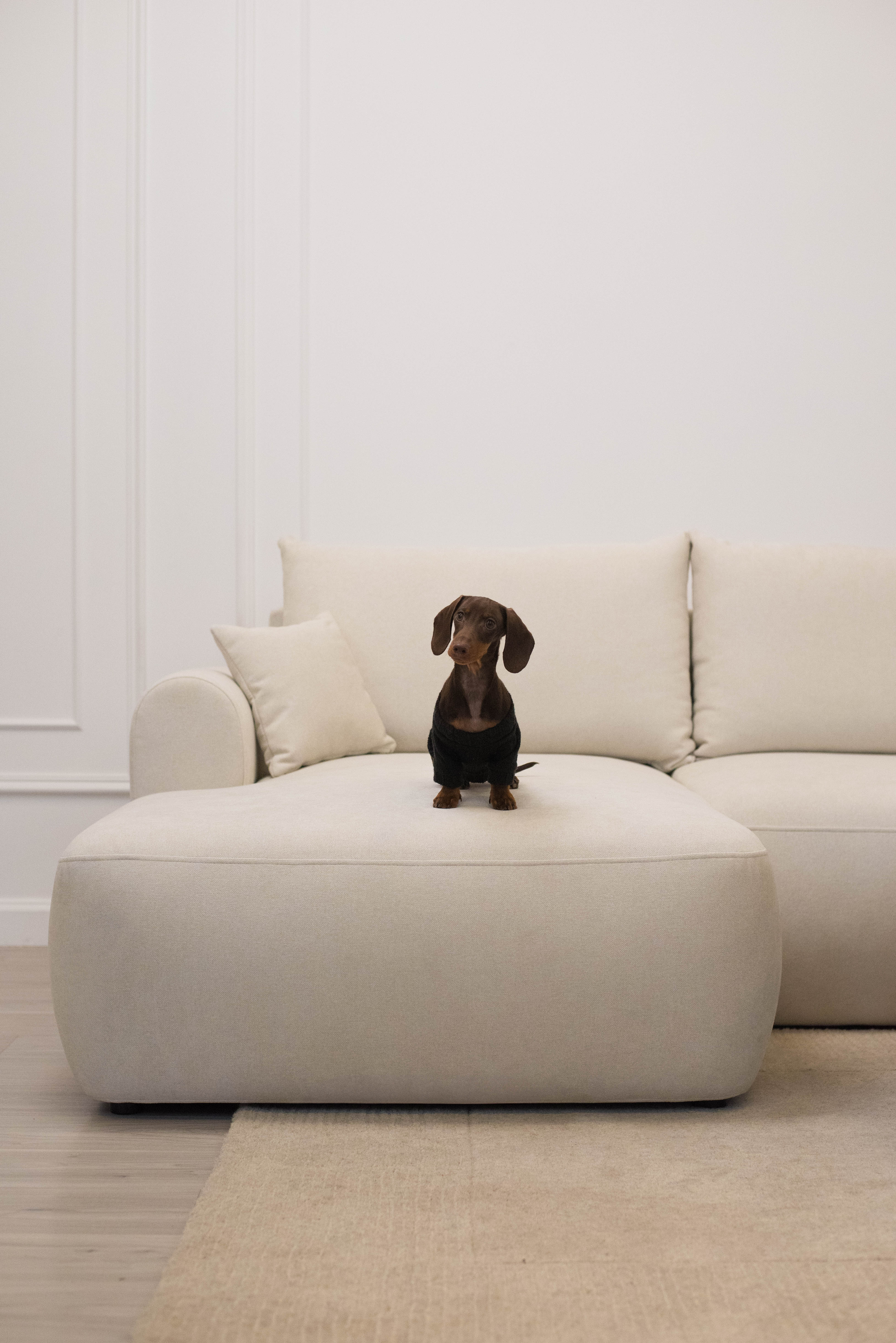 Ecksofa mit Schlaffunktion Ovo mini, L-förmig, linksseitig, mit Stauraum, cremefarben, pflegeleichter Chenille-Stoff