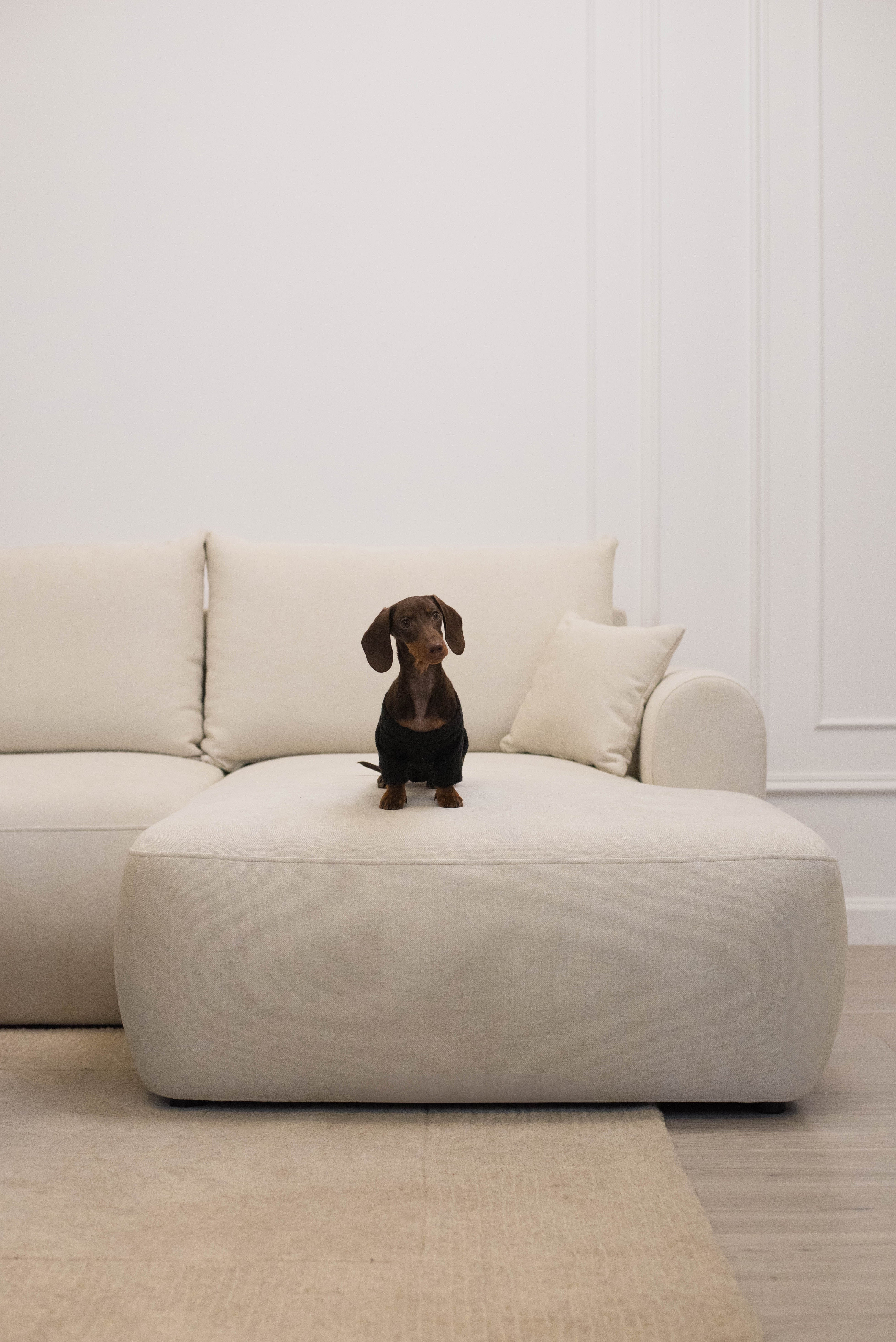 Ecksofa mit Schlaffunktion Ovo mini, L-förmig, rechtsseitig, mit Stauraum, cremefarbener, pflegeleichter Chenille-Stoff