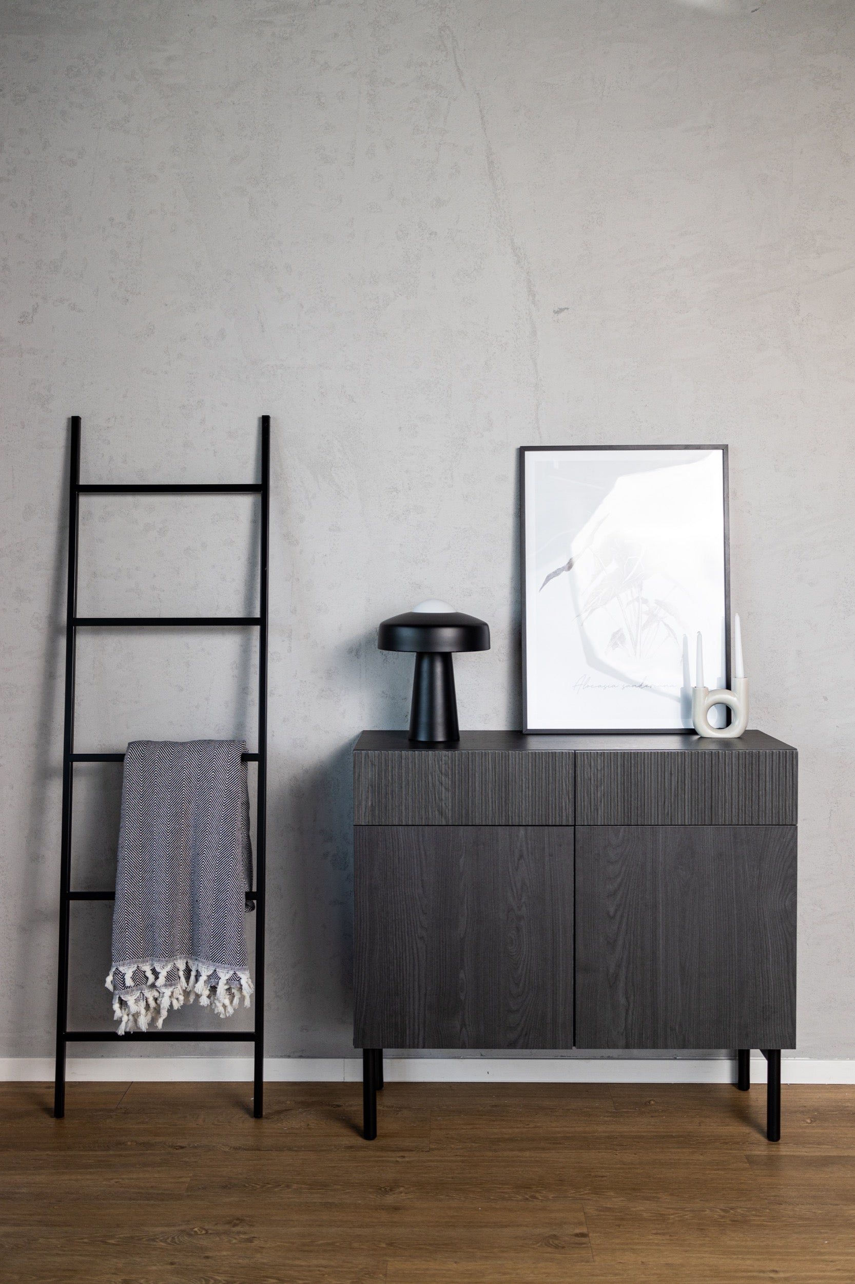 Zweiturige Kommode Nolie mit zwei Schubladen, 100 cm, Portland Esche Schwarz