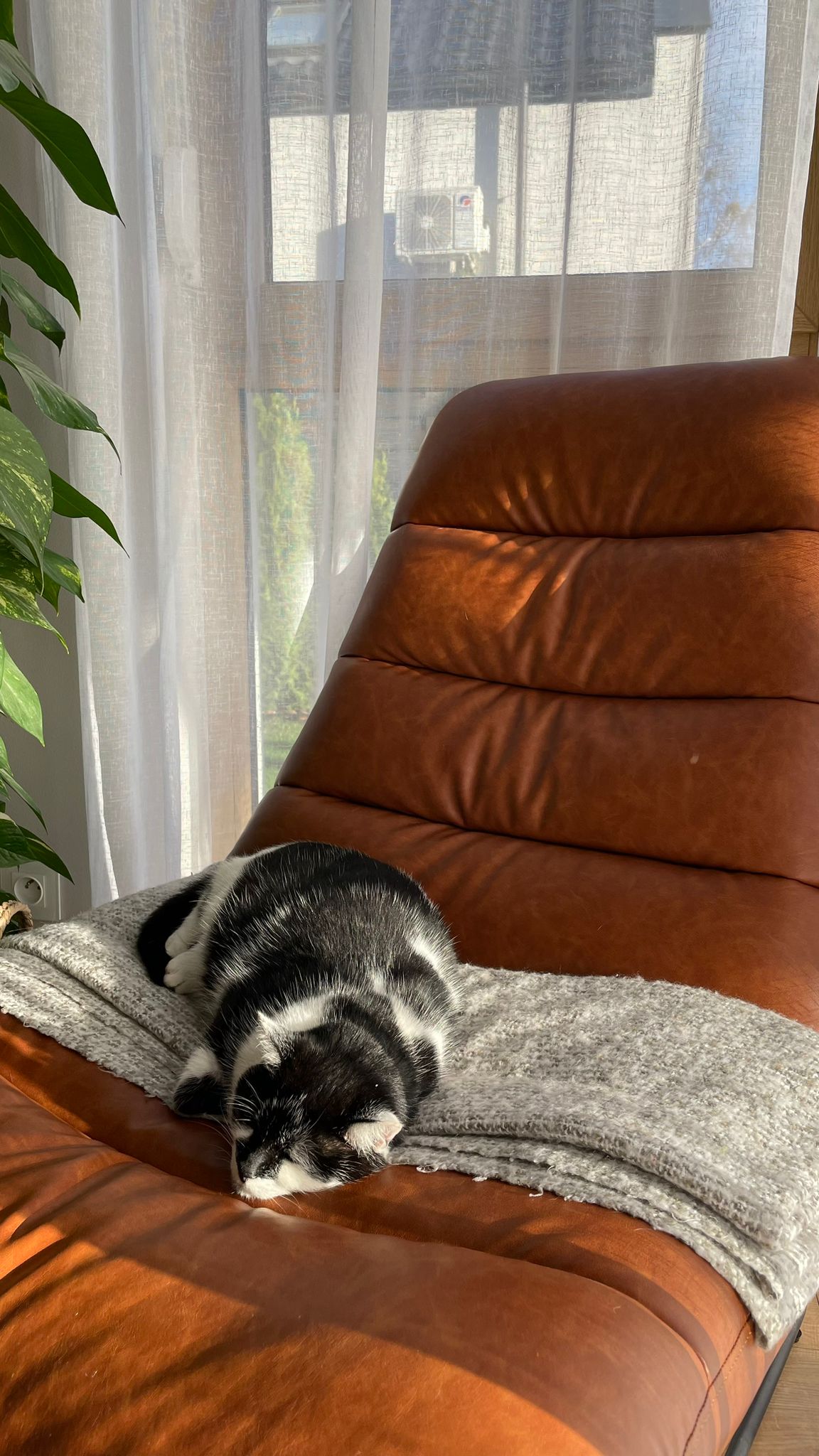 Relaxsessel Forgents Karamell Kunstleder