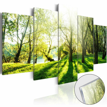 Bild auf Plexiglas GRÜNE LICHTUNG