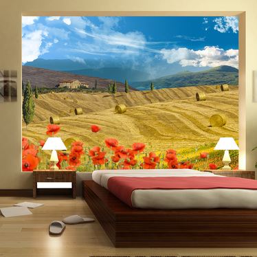 Fototapete ERNTE-LANDSCHAFT