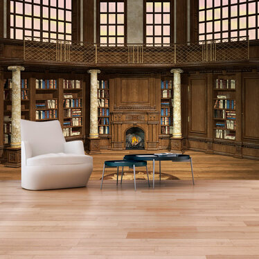 Fototapete BIBLIOTHEK DER TRÄUME 300x210 cm