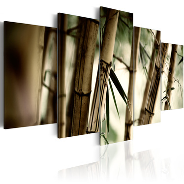 Wandbild BAMBUSWALD 100x50 cm