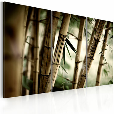 Wandbild TROPISCHER WALD120x80 cm