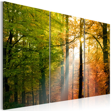 Wandbild FREUNDLICHER HERBSTWALD 60x40 cm
