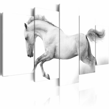 Wandbild PFERD - LEIDENSCHAFT UND FREIHEIT 100x50 cm