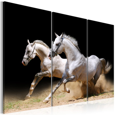 Wandbild GALOPP - FREIHEIT UND ENERGIE 60x40 cm