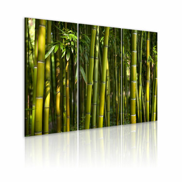 Wandbild BAMBUS 60x40 cm