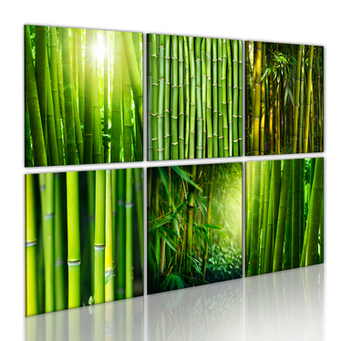 Wandbild BAMBUS 6-teilig 60x40 cm