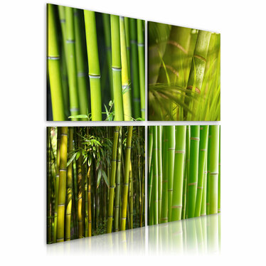 Wandbild BAMBUSSE 40x40 cm