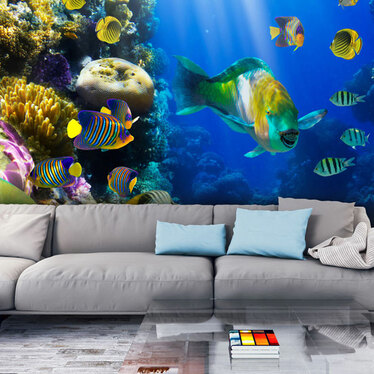 Fototapete BUNTE FISCHE