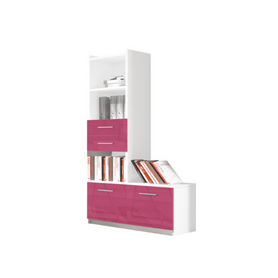 Smart Fun Regal Rosa